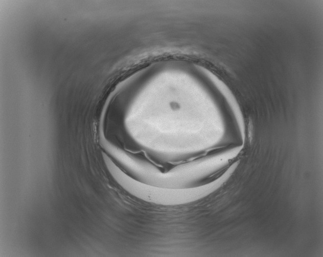 X0000056371492200509232144