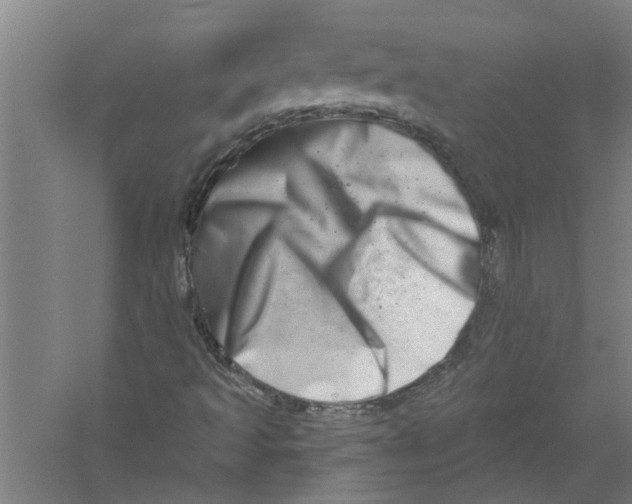 X0000056371493200509232144
