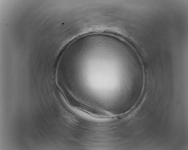 X0000056371497200509232144