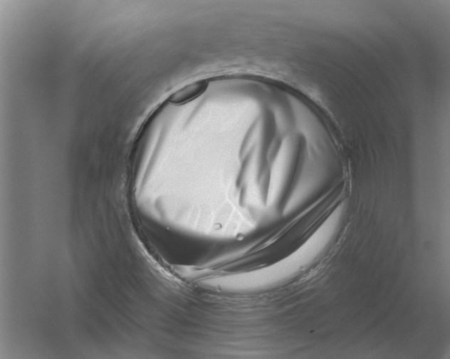 X0000056371500200509232145