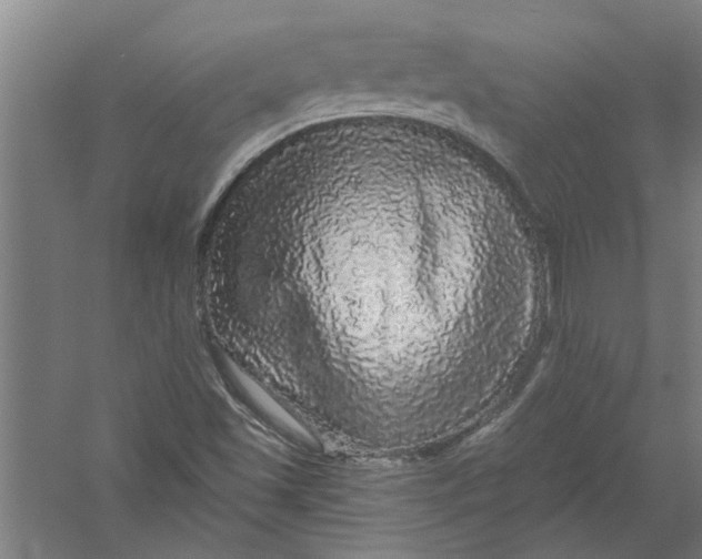 X0000056371501200509232145