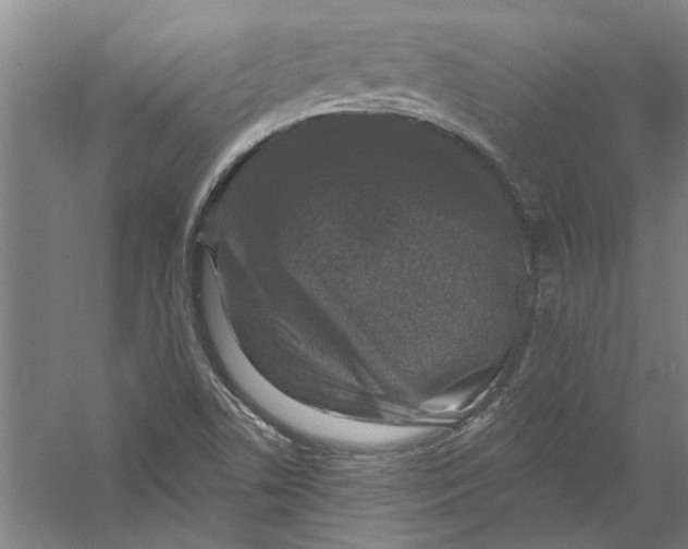 X0000056371506200509232145