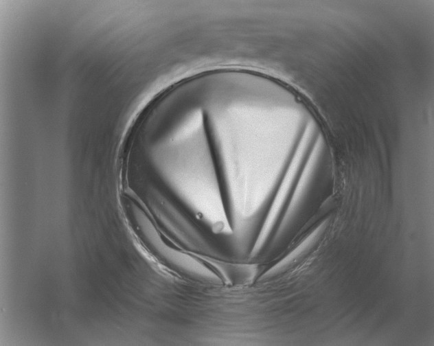 X0000056371511200509232145