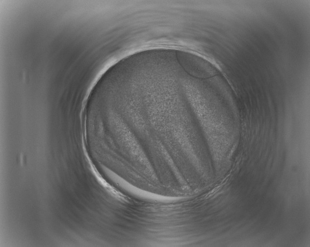 X0000056371515200509232145