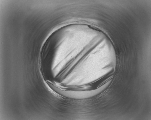 X0000056371531200509232145