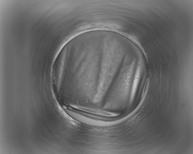 X0000056371532200509232145