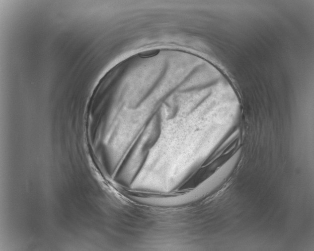 X0000056371534200509232145