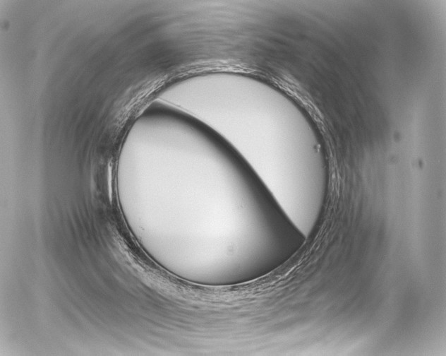 X0000056380014200508260957