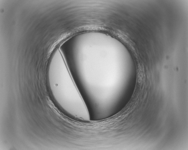 X0000056380015200508260957