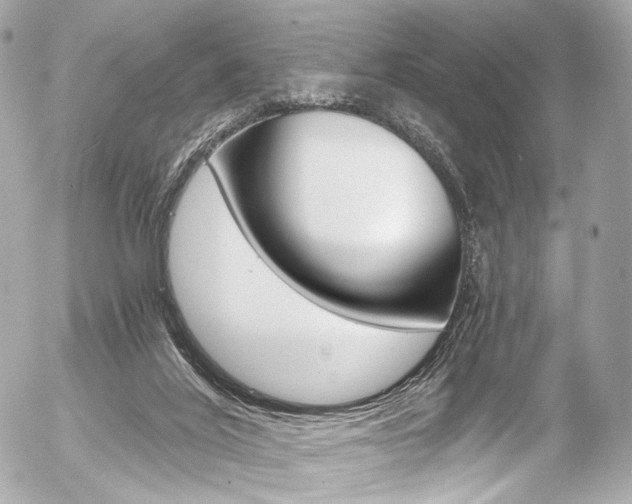 X0000056380020200508260957