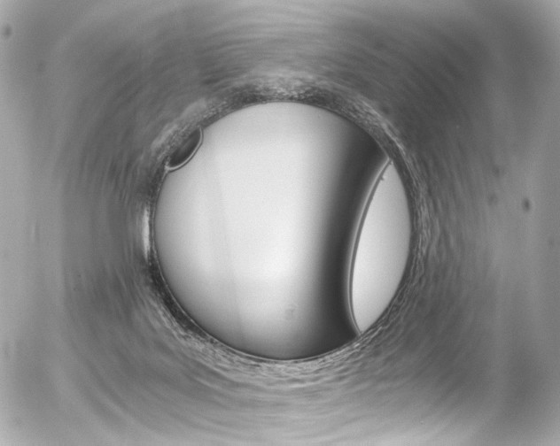 X0000056380027200508260957