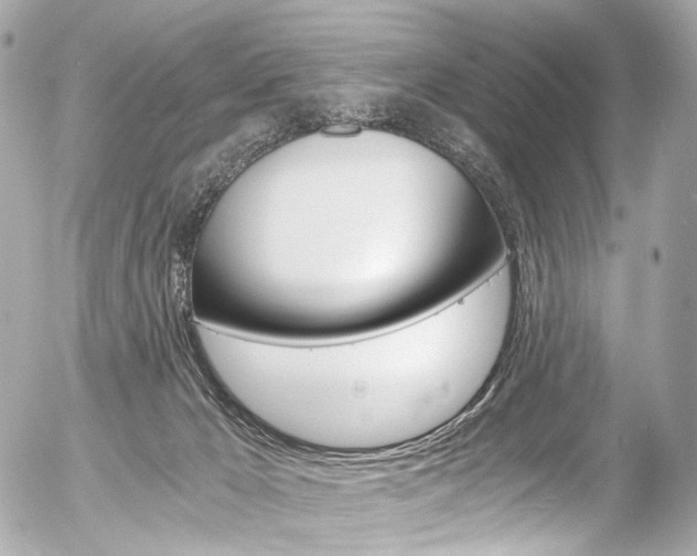 X0000056380029200508260957