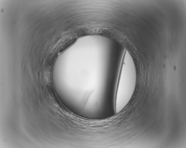 X0000056380035200508260957