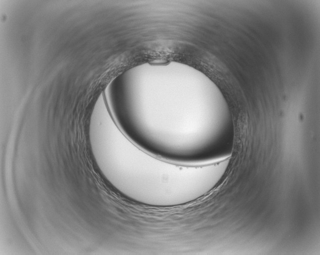 X0000056380037200508260957