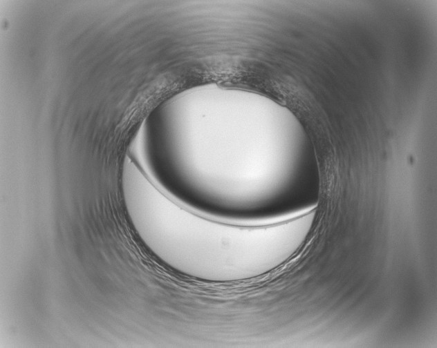 X0000056380041200508260957