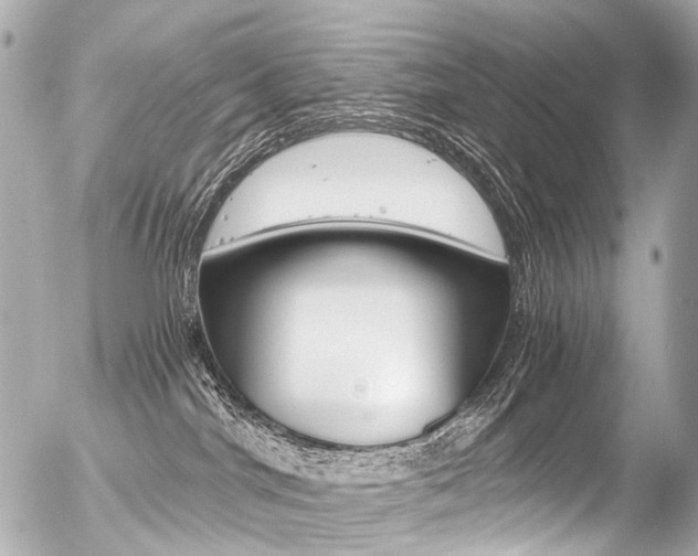 X0000056380044200508260957