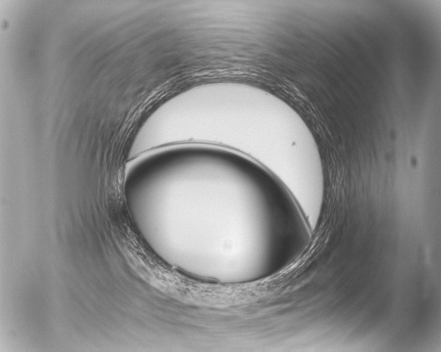X0000056380045200508260957