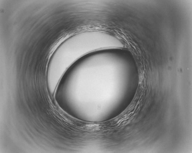 X0000056380052200508260956
