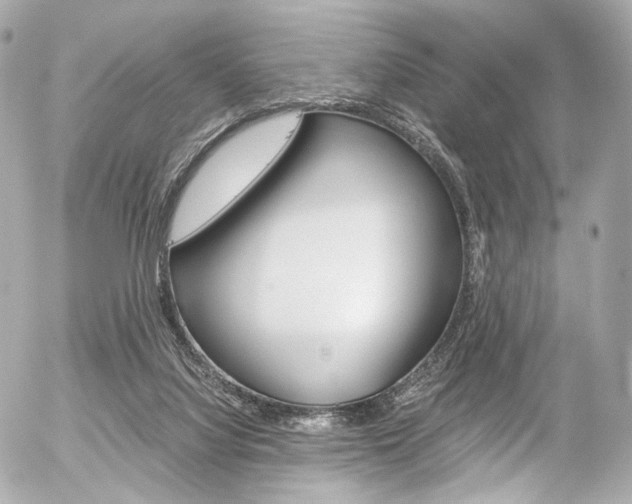 X0000056380068200508260956