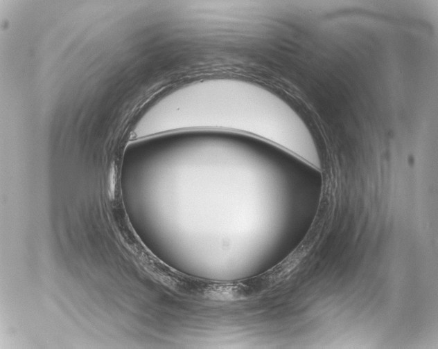 X0000056380076200508260956