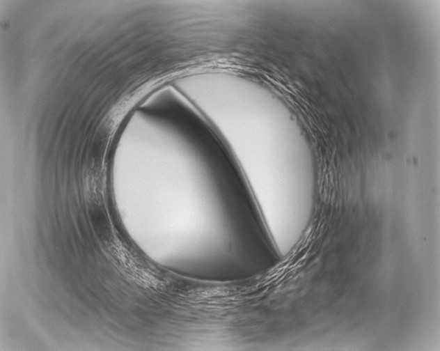 X0000056380100200508260956
