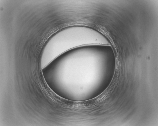 X0000056380109200508260956