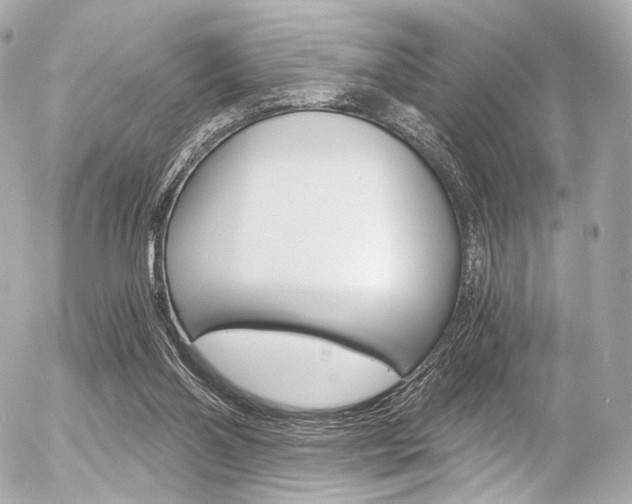 X0000056380110200508260956