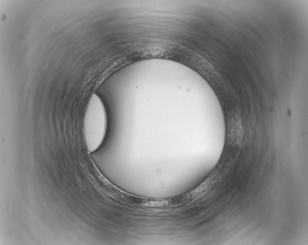 X0000056380126200508260955