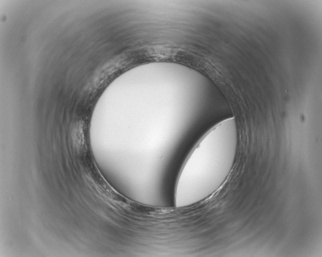 X0000056380128200508260955