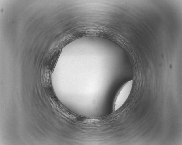 X0000056380137200508260955