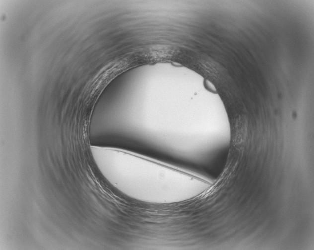 X0000056380140200508260955