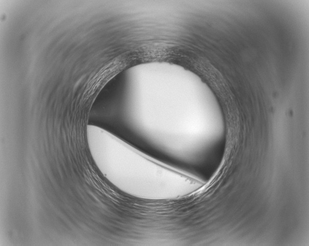 X0000056380144200508260955