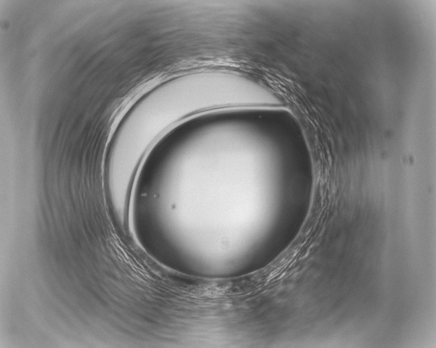 X0000056380148200508260954