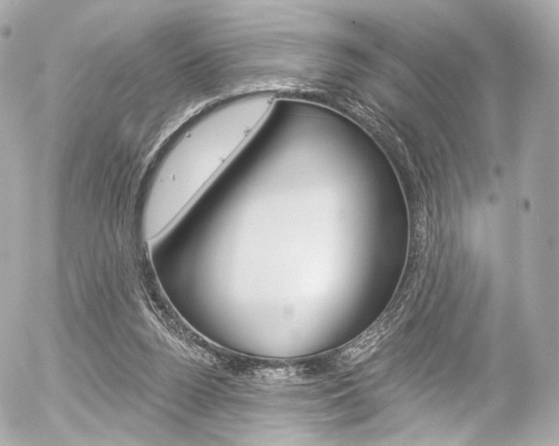 X0000056380160200508260954