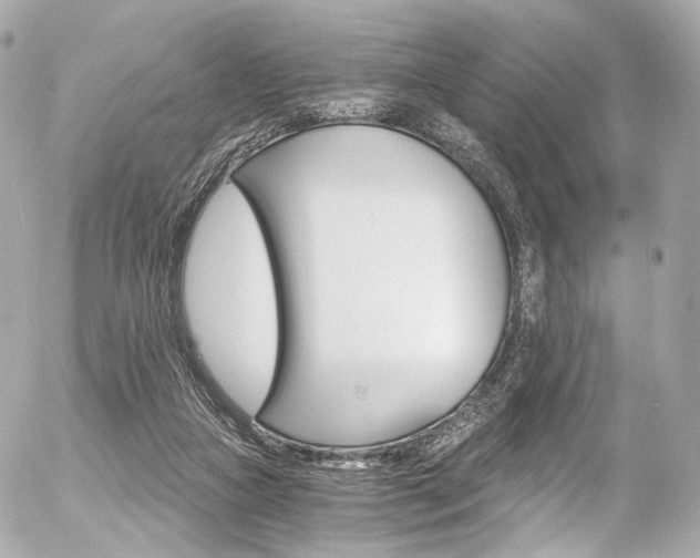 X0000056380161200508260954