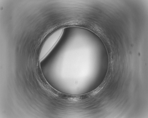 X0000056380164200508260955