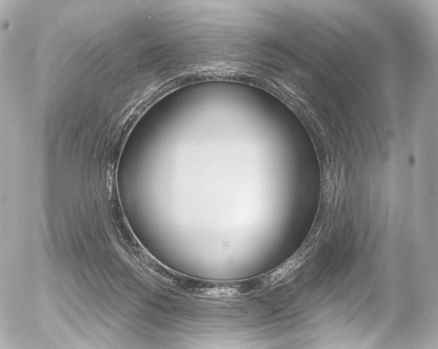 X0000056380168200508260955