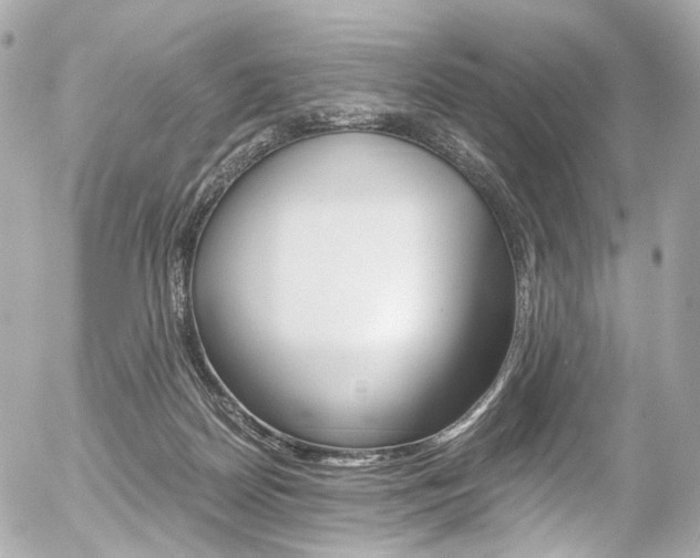 X0000056380170200508260955