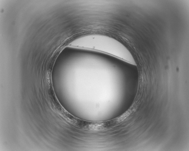 X0000056380172200508260955
