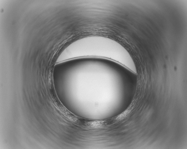 X0000056380184200508260955