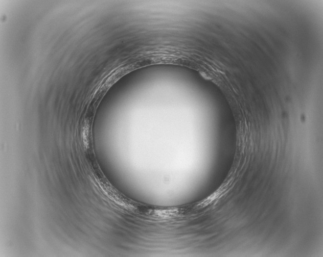 X0000056380188200508260955