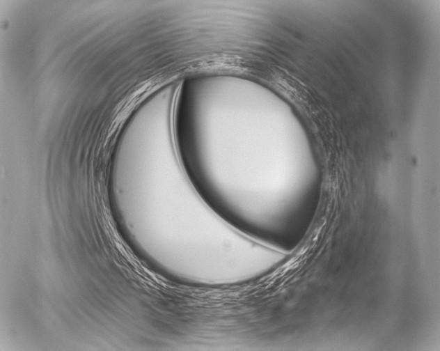 X0000056380193200508260954