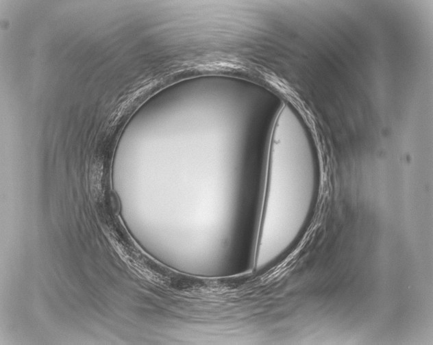 X0000056380201200508260954