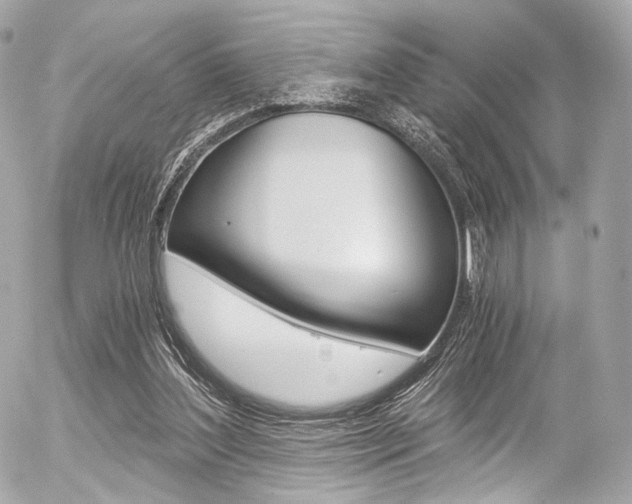 X0000056380204200508260954
