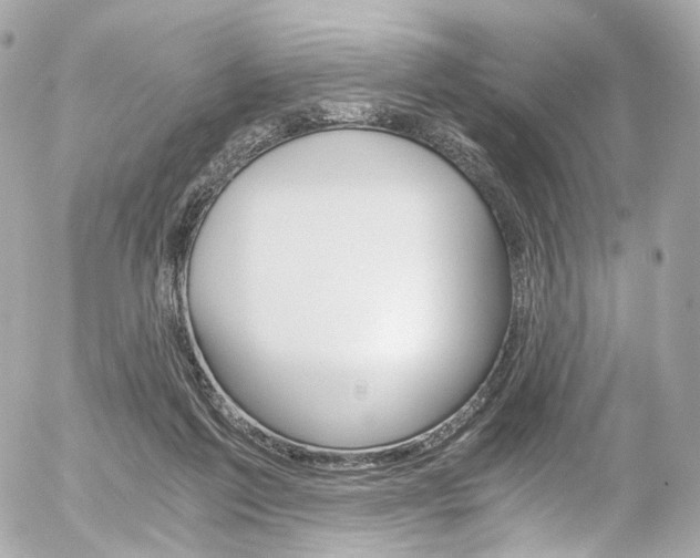 X0000056380213200508260954