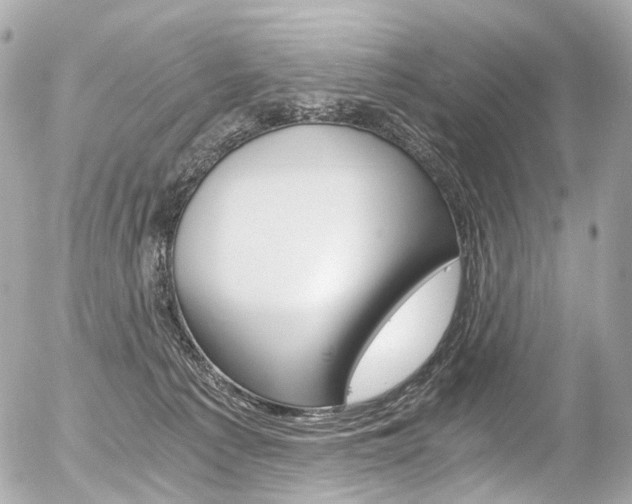 X0000056380225200508260954