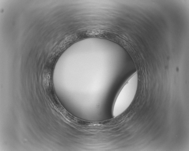 X0000056380227200508260954