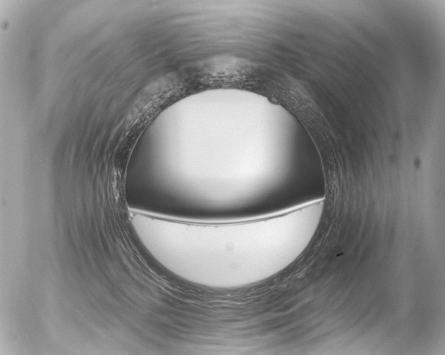 X0000056380232200508260954