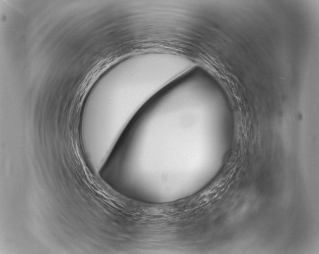 X0000056380241200508260953