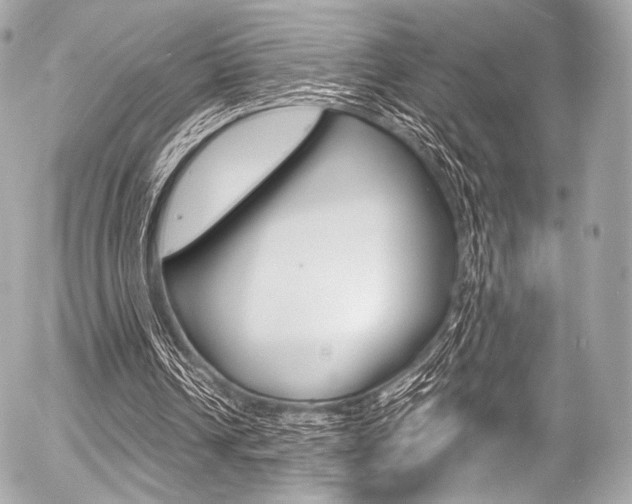 X0000056380242200508260953